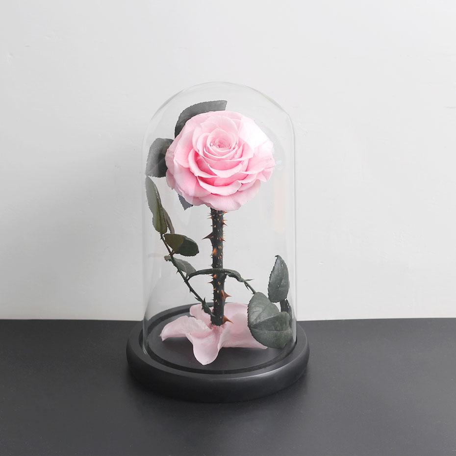 Genuine Prestige Eternal Rose (Farbauswahl)