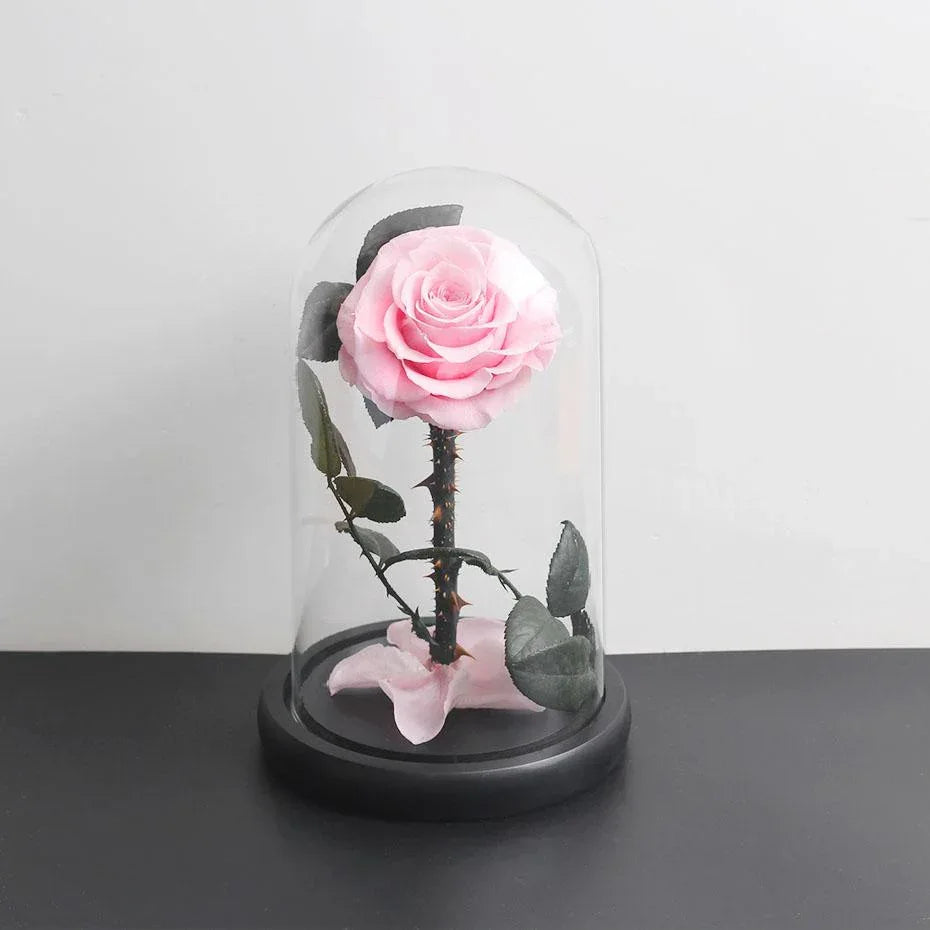 Véritable Rose Éternelle de Prestige ( choix de couleur ) - Rose Eternelle La Boutique