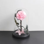 Véritable Rose Éternelle de Prestige ( choix de couleur )