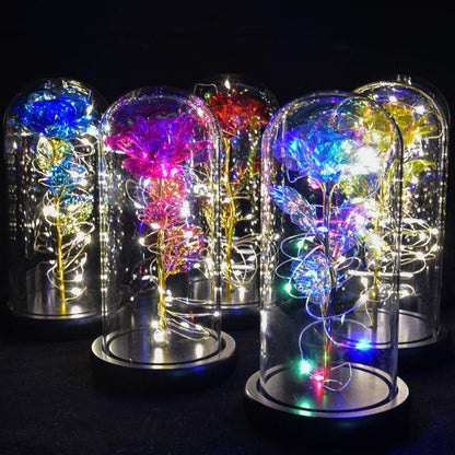 Rose Eternelle Lumineuse & Sous Cloche ( Choix de style ) - Rose Eternelle La Boutique