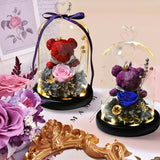 Bouquet avec Rose & Ours rouge Sous Cloche