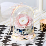 Luxueuse Rose Eternelle Sous Cloche