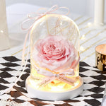 Luxueuse Rose Eternelle Sous Cloche