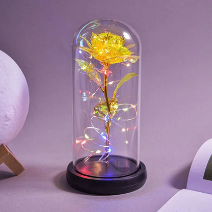 Rose Eternelle Lumineuse & Sous Cloche ( Choix de style ) - Rose Eternelle La Boutique