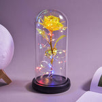 Rose Eternelle Lumineuse & Sous Cloche ( Choix de style  )