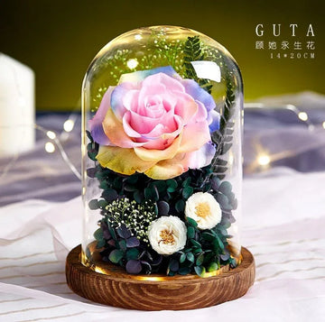 Grande Rose Eternelle Sous Cloche ( Choix de couleur ) - Rose Eternelle La Boutique