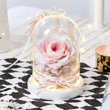 Luxueuse Rose Eternelle Sous Cloche