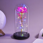 Rose Eternelle Lumineuse & Sous Cloche ( Choix de style  )