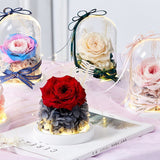 Luxueuse Rose Eternelle Sous Cloche