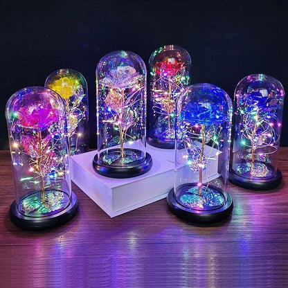 Rose Eternelle Lumineuse & Sous Cloche ( Choix de style ) - Rose Eternelle La Boutique