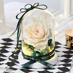 Luxueuse Rose Eternelle Sous Cloche